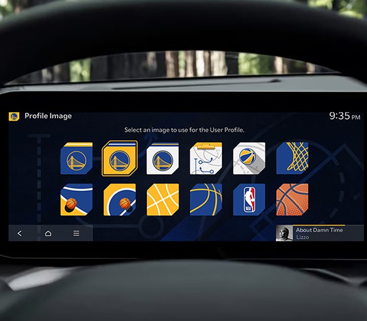 Display Themes