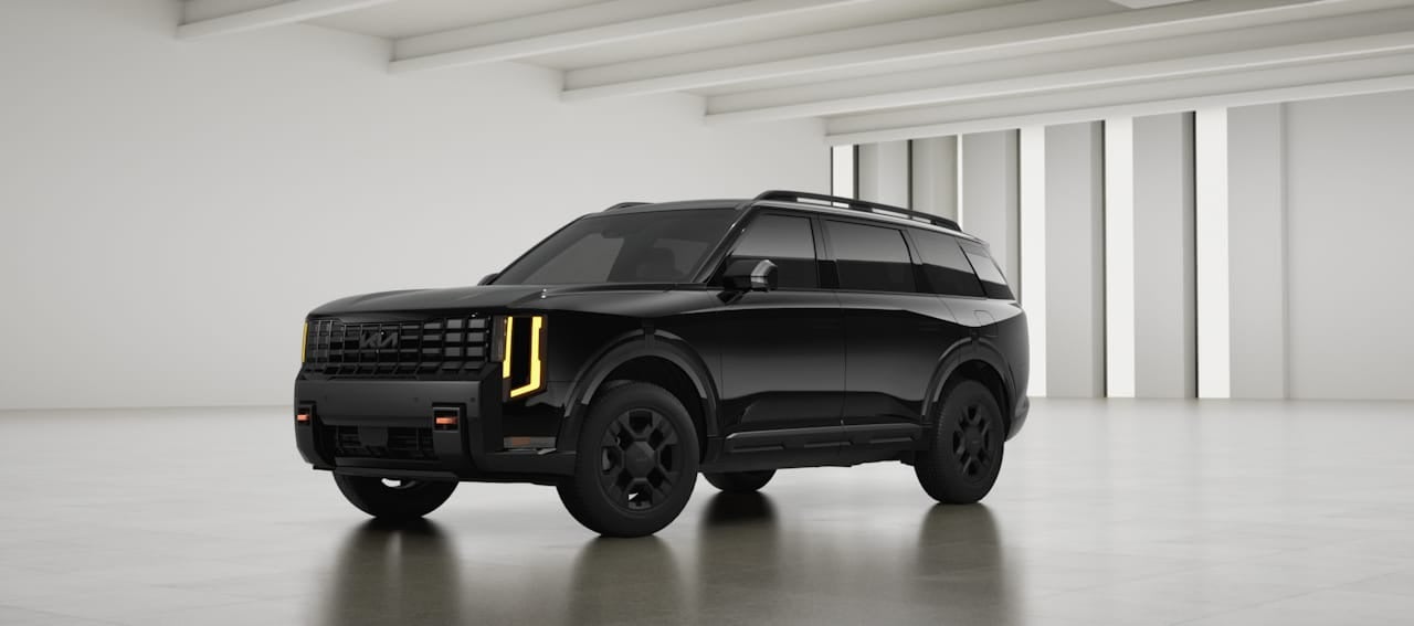 Ebony Black